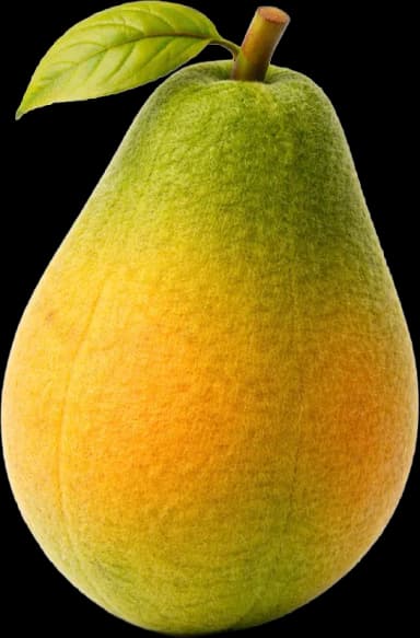 22 haftalık gebelikte bebek papaya büyüklüğünde