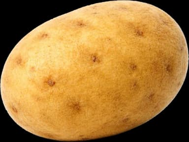 20 haftalık gebelikte bebek patates büyüklüğünde