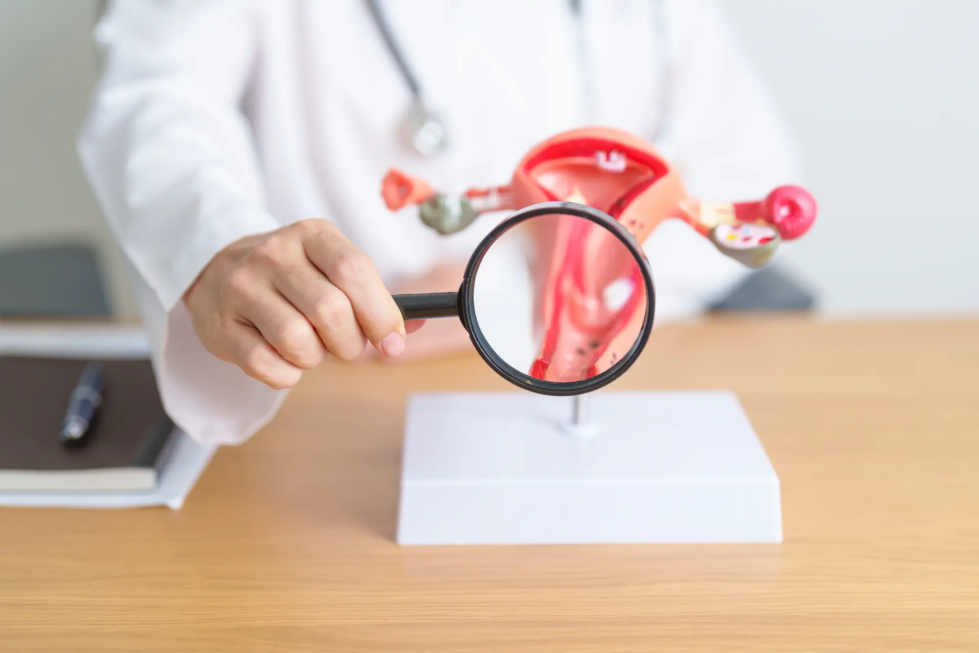 AMH, FSH ve Antral Folikül Sayısı Nedir? Yumurtalık Rezervi Nasıl Ölçülür?