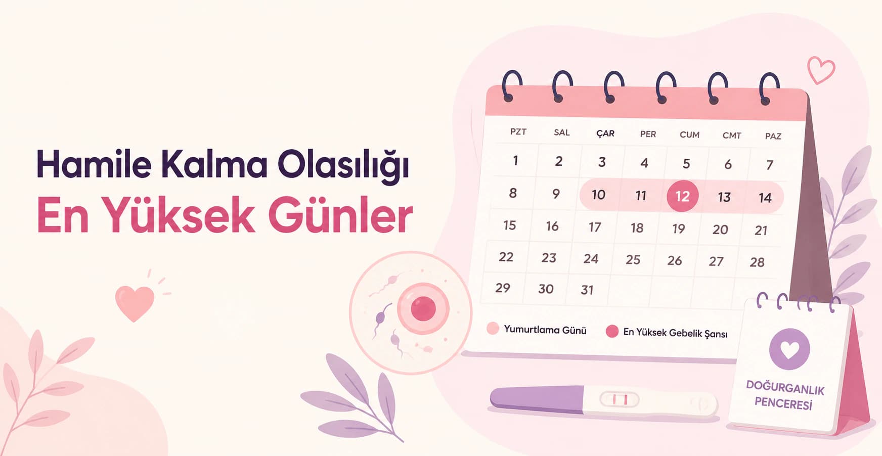 hamile kalma olasılığının en yüksek olduğu günleri anlatan blog kapak görselinde işaretlenmiş takvim, yumurtlama günü ve doğurganlık penceresi illüstrasyonu yer alıyor