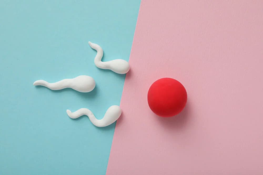 doğurganlık döneminin takibini anlatan blog kapak görselinde yumurtaya doğru ilerleyen sperm hücrelerini temsil eden minimal bir illüstrasyon yer alıyor