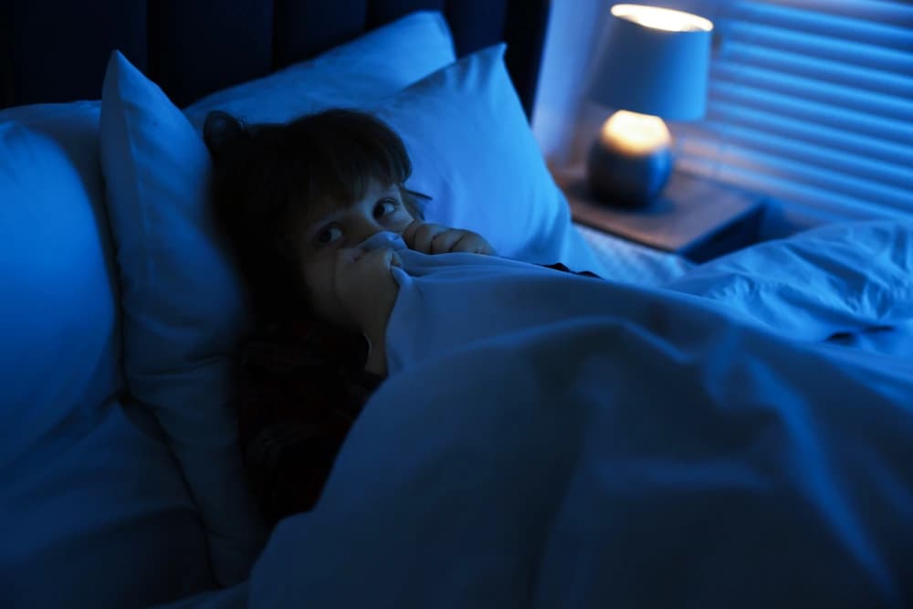 Gece yatağında korkuyla battaniyesine sarılan küçük çocuk