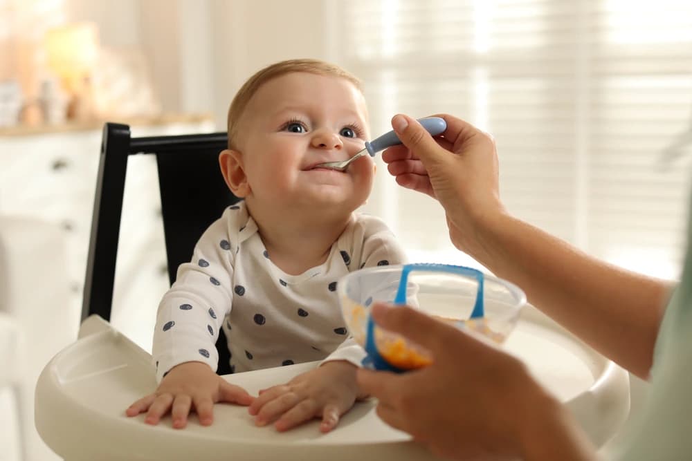 Mama sandalyesindeki bebeğe ilk ek gıda kaşıkla veriliyor